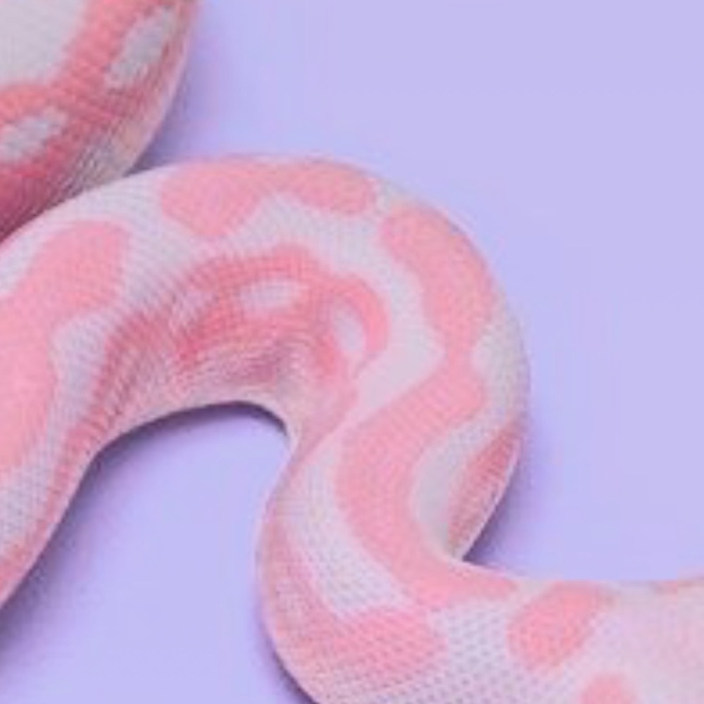 Meet your Posher, Brooke